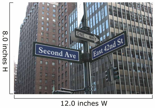 2nd VS 42nd Wall Mural