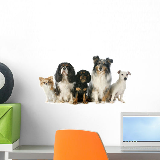 Five Dogs