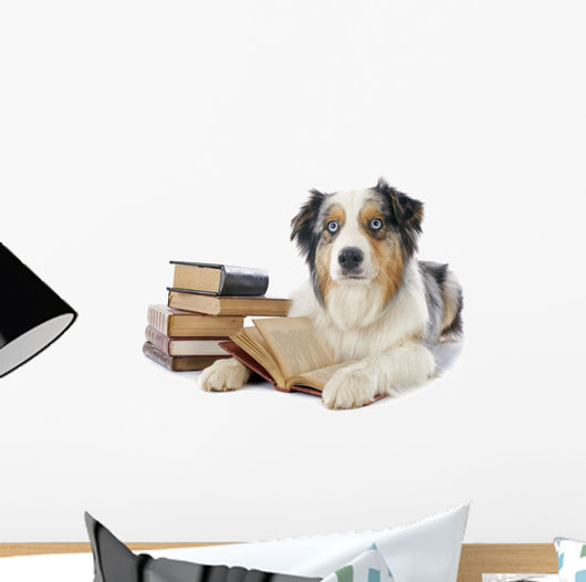 Australian Shepherd and Books Wall Decal