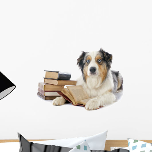 Australian Shepherd and Books Wall Decal
