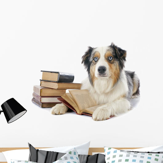 Australian Shepherd and Books Wall Decal