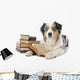 Australian Shepherd and Books Wall Decal