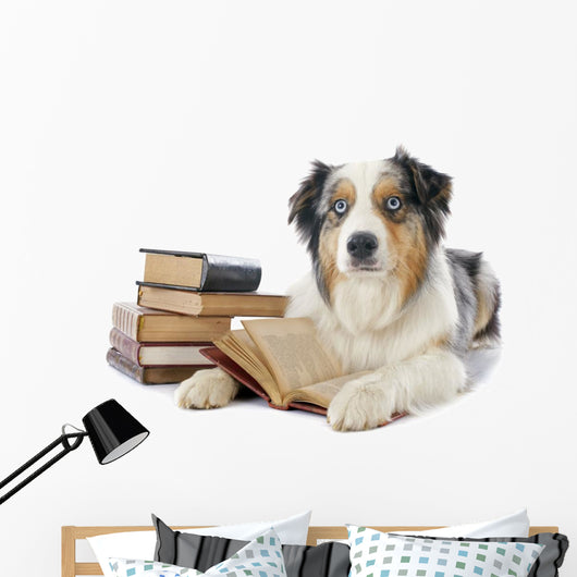 Australian Shepherd and Books Wall Decal