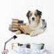 Australian Shepherd and Books Wall Decal