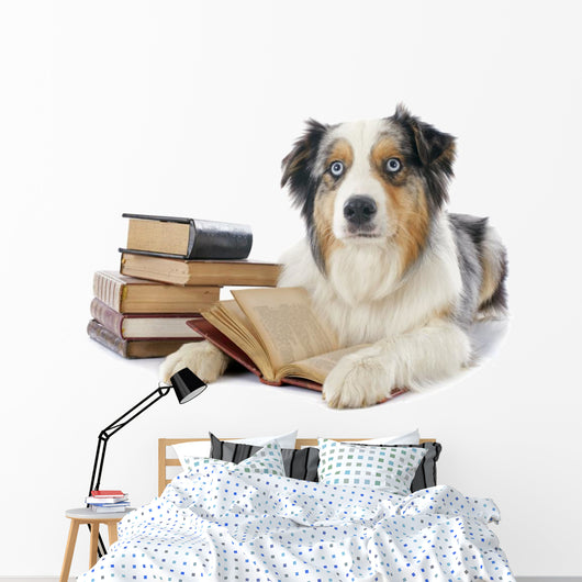 Australian Shepherd and Books Wall Decal
