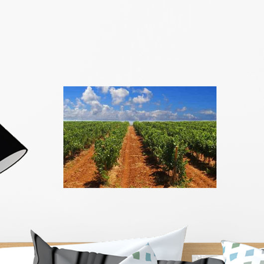 Green Rows Vineyard Spain Wall Decal
