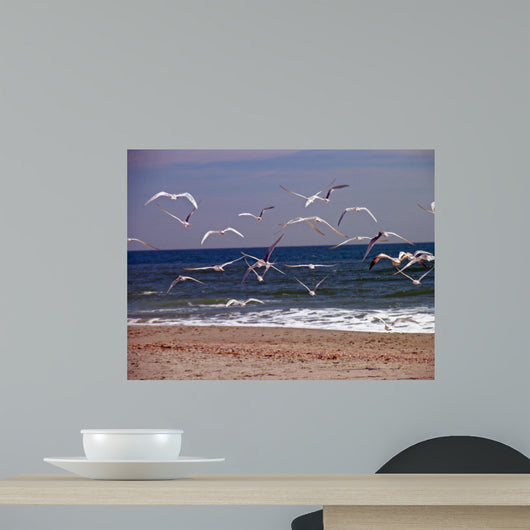 seagulls in flight Wall Mural
