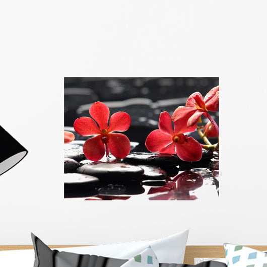 Still Life with Red Orchid on Pebble