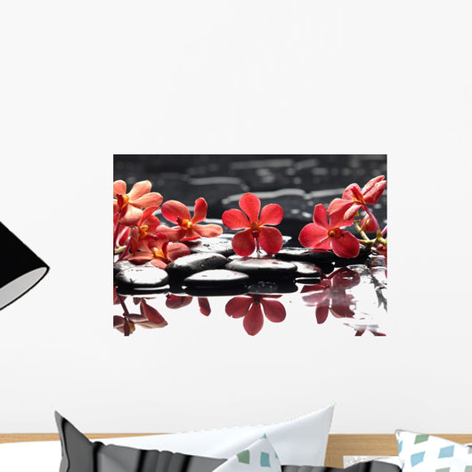 Branch Red Orchid With Zen Stones Reflection