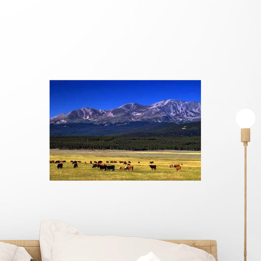 Cattle among Colorado Mountains Wall Decal