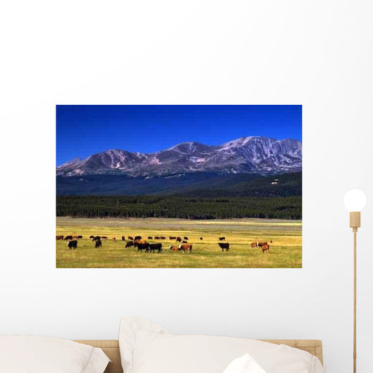 Cattle among Colorado Mountains Wall Decal