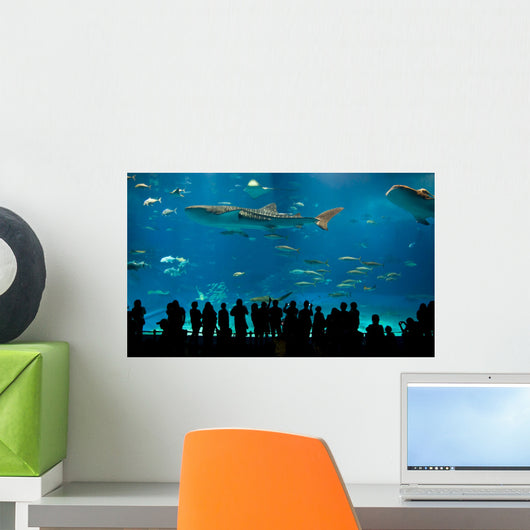 World's largest acrylic aquarium Wall Mural