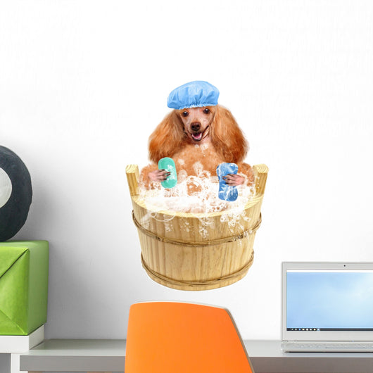 Dog Washes