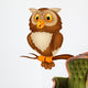 Cute owl cartoon Wall Decal