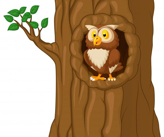 Cartoon Owl Tree Wall Decal