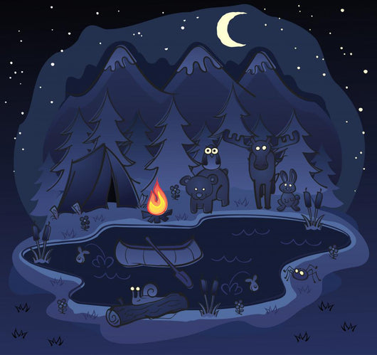 Camping At Night with Animal Friends