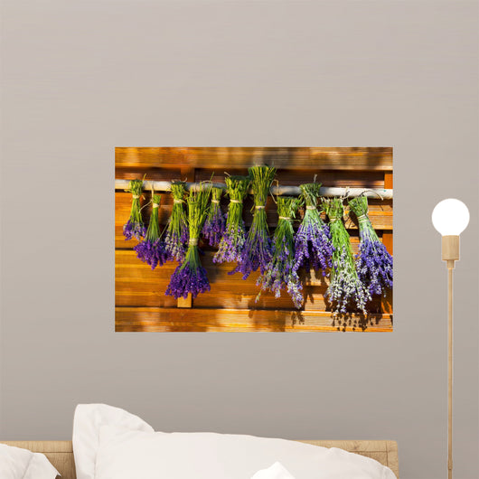 To dry hung up Scented lavender bundles