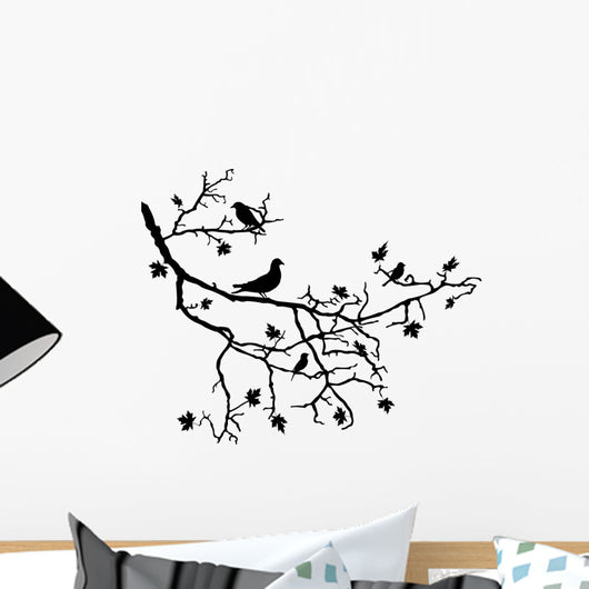 Birds