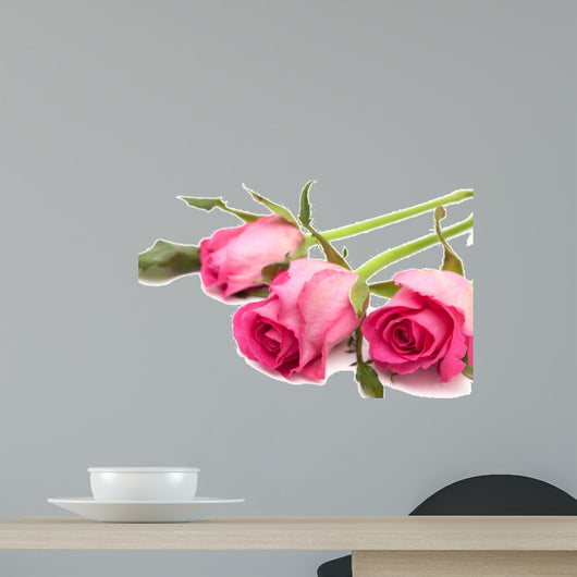 pink rose