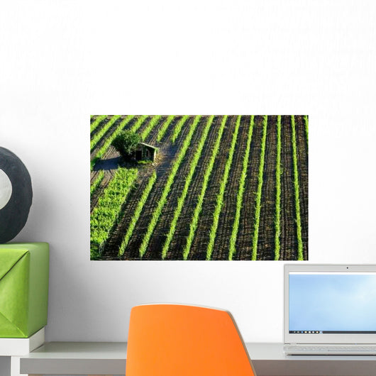 Italian Vineyards Wall Decal