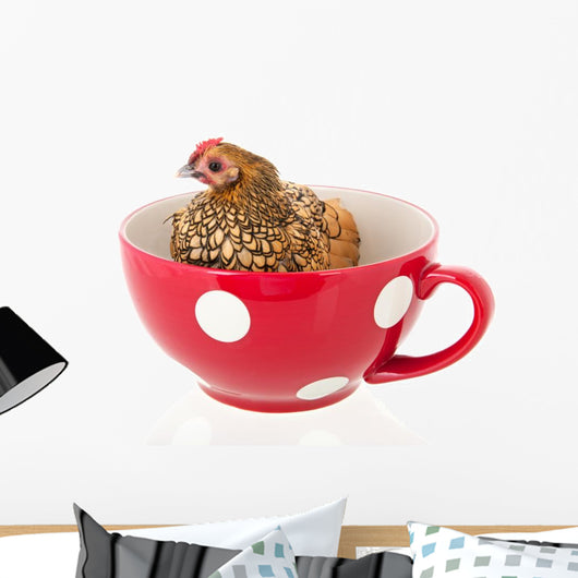 Chicken Soup Wall Decal