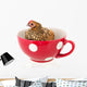 Chicken Soup Wall Decal