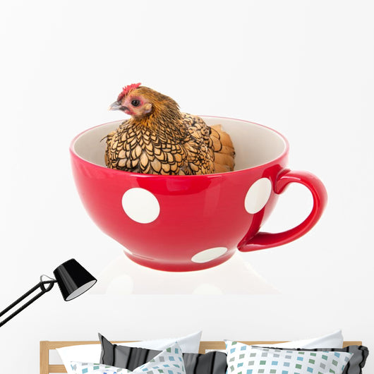 Chicken Soup Wall Decal