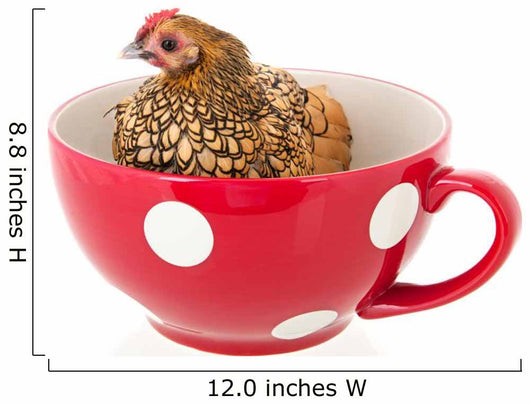 Chicken Soup Wall Decal