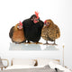 Old Biddies Chickens Wall Decal