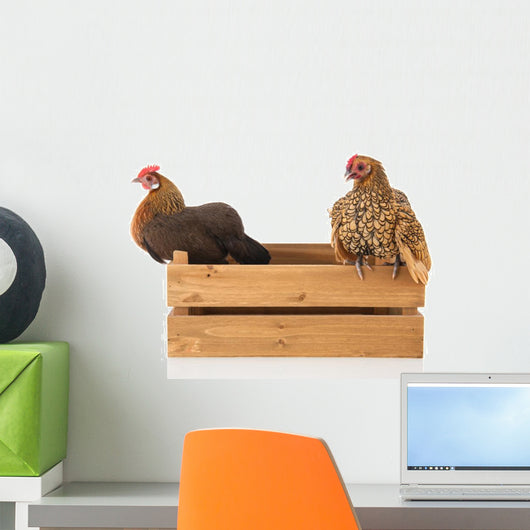 Chickens on Wooden Crate Wall Decal