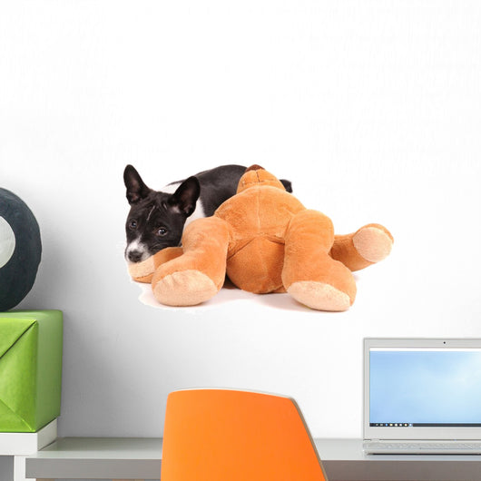 Basenji Dog Puppy with Toy Wall Decal