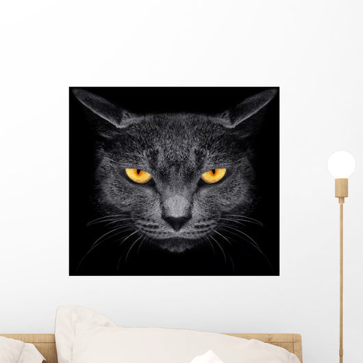 From Darkness Muzzle Cat Wall Decal