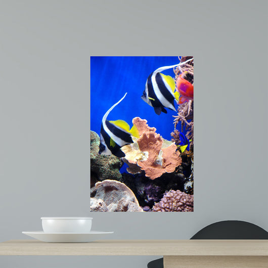 Butterfly Fish Wall Decal