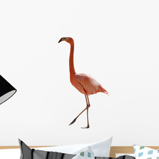 Red Flamingo