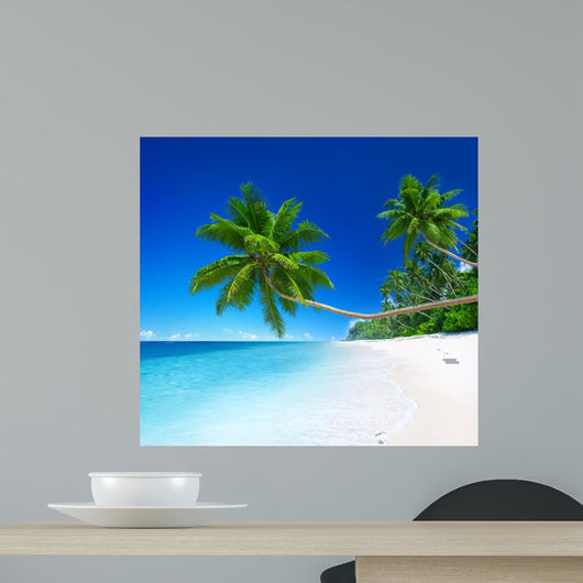 Tropical Paradise