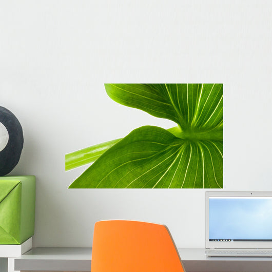 Elephant Ear Leaf Wall Decal