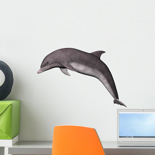 Jumping Dolphin