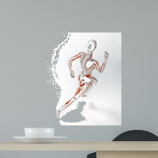 Female runner anatomy