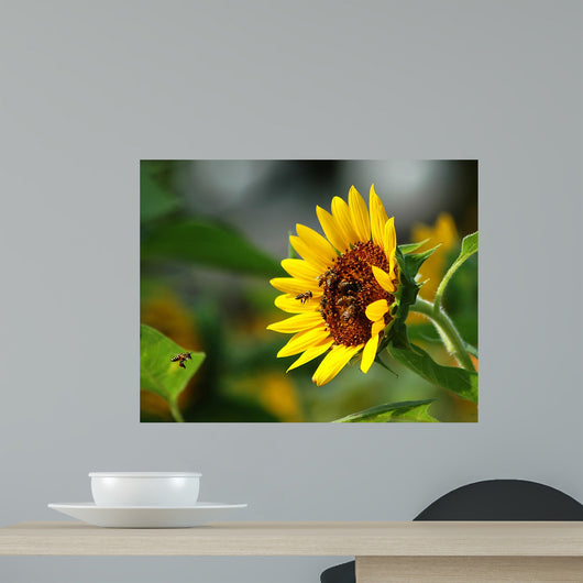 Busy Bee and Sunflower Wall Decal