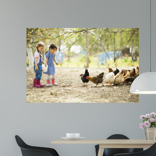 Two little girl feeding chickens