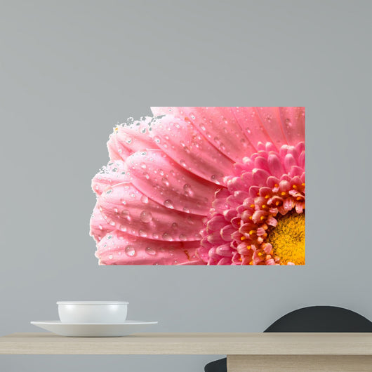 Pink flower petals.