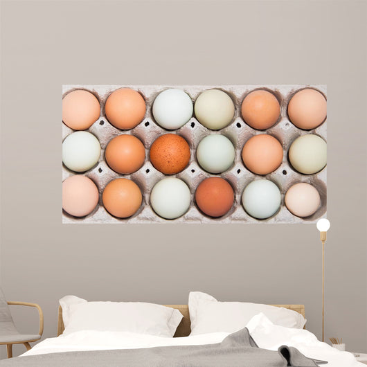 Colorful chicken eggs in tray Wall Mural