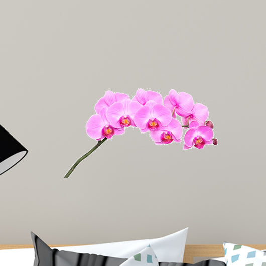 Pink orchid Wall Decal