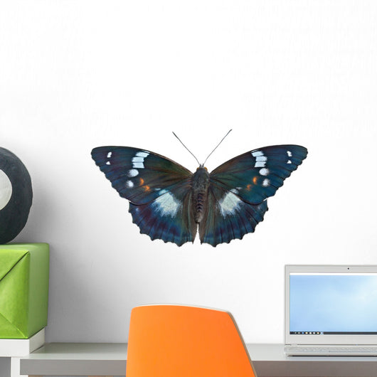 Butterfly (Apatura schrencki) 32 Wall Mural