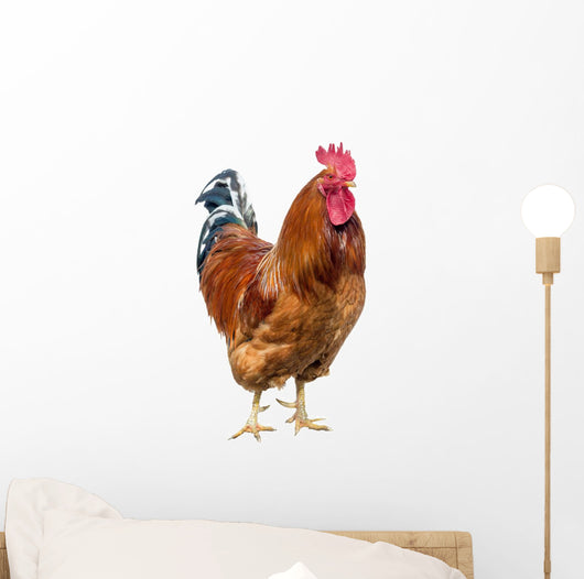 Red Cock