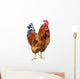 Red Cock