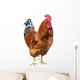 Red Cock