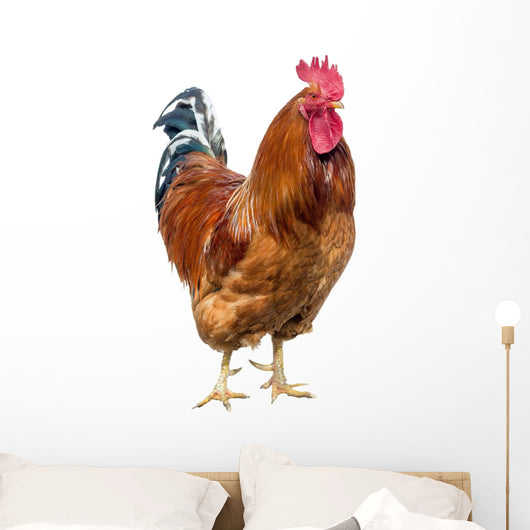 Red Cock