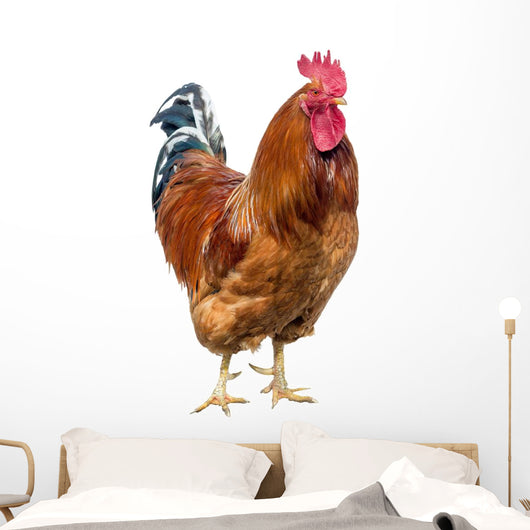 Red Cock