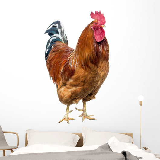 Red Cock